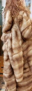 Full length Honey Russian Sable